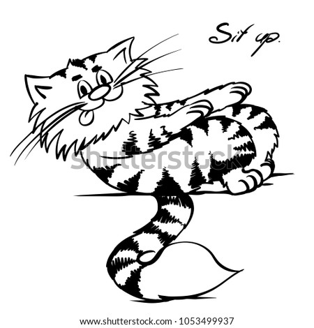 Extra happy sit up cat. Smiley kitty in gym. Funny infantile outline sketch sporty cat for coloring book. Kitty print for shirt. Doodle cartoon workout feline tom. Abs exercise
