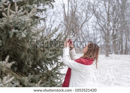 woman taking photo of magical big fluffy white snowflakes falling on pine tree branch with smartphone outside  in winter