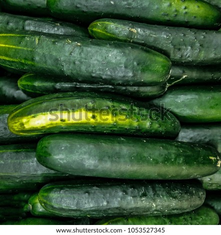 Big Cucumbers Stack