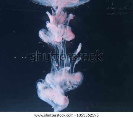 A drop of pink paint dissolves in water. The abstract photograph. Close up.