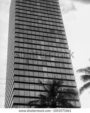 Reflecting Glass Tower with Tropical Palm Trees in the Foreground.