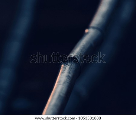Unique bamboo object with dark background isolated stock photograph