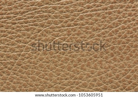 Beautiful light brown leather texture. High resolution photo.