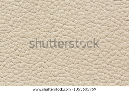 Unusual leather texture in simple light colour. High resolution photo.