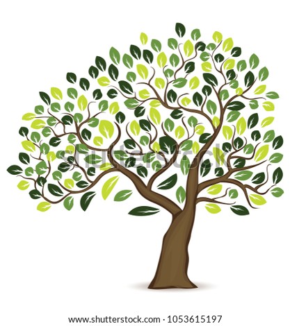 Tree Design Illustration