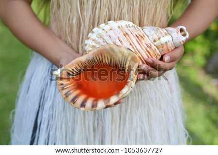 Cook islander woman holds a Conch Shell Horn.Seashell horn trumpet sound carries over a long distances and used by South Pacific people as signaling devices rather than played musical instrument. Royalty-Free Stock Photo #1053637727