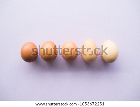 Idea concept color tone of egg with copy space, flat lay.