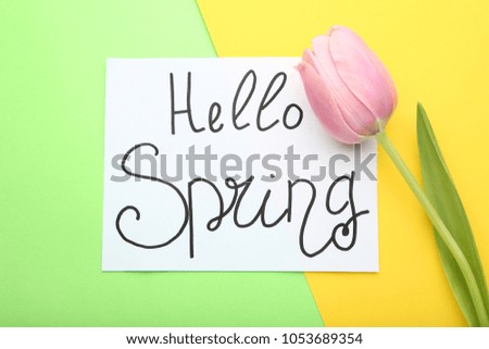 Inscription Hello Spring with pink tulip on colorful background