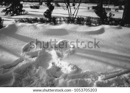 A snow angel in the park