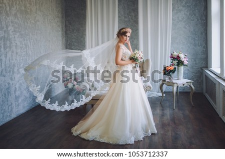 Beautiful bride in wedding dress with lace. The wedding veil flies like in the wind. Studio. Interior. Royalty-Free Stock Photo #1053712337