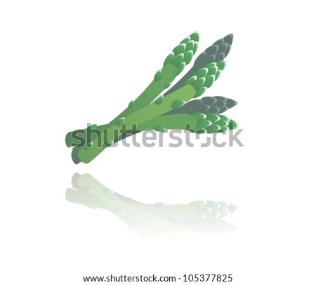 vector illustration of asparagus for vegetarian diet