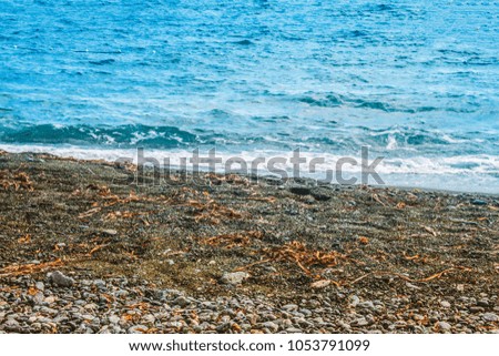 nature seashore and rocks