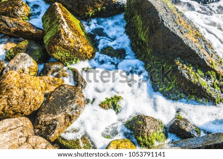 nature seashore and rocks