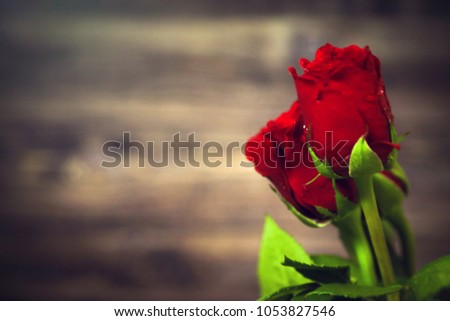 red roses in front of wooden floor. Valentine's Day
