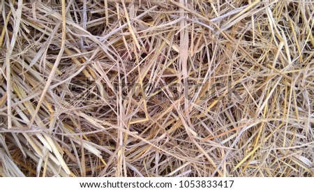 Straw in countryside background 