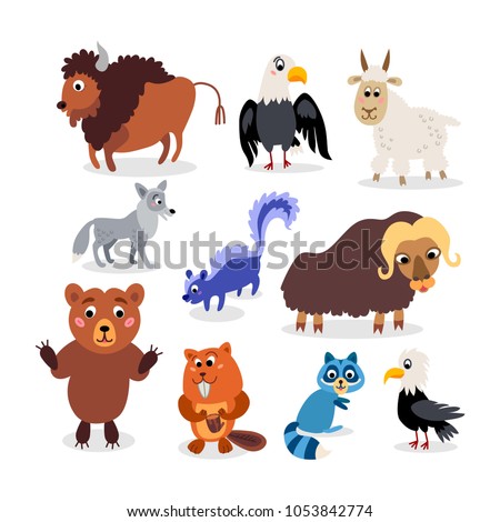 Wild North America animals set in flat style isolated on white background. Including coyote, musk ox, raccoon, skunk, snow goat, American eagle, bald eagle, buffalo, bison, bull, beaver, Grizzly bear