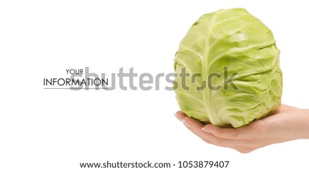 Female hand head of cabbage pattern on white background isolation