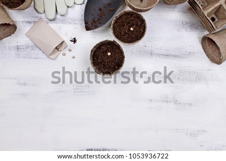 Gardening tools, seeds, seedling peat pots and soil on a white wooden table. Image shot from above in flat lay style.