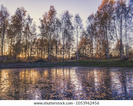 Beautiful Photo of a Frozen Lake in Sunny Autumn Day in an October, with a Sun Shining Directly at Camera Through the Trees - vintage look edit