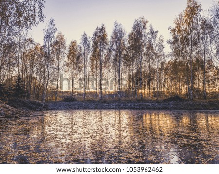 Beautiful Photo of a Frozen Lake in Sunny Autumn Day in an October, with a Sun Shining Directly at Camera Through the Trees - vintage look edit