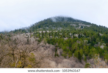 Spring fog on Caucasian mountain peak in Dombay, Russia