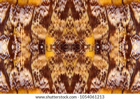 Abstract symmetric pattern of feathers of owls close-up as background. Macro of the brown and yellow feathers of a owl. The image with mirror effect. An ornamental surreal tracery of bird feathers. 