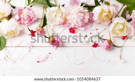Delicate white pink peony with petals flowers and white ribbon on wooden board. Overhead top view, flat lay. Copy space. Birthday, Mother's, Valentines, Women's, Wedding Day concept.