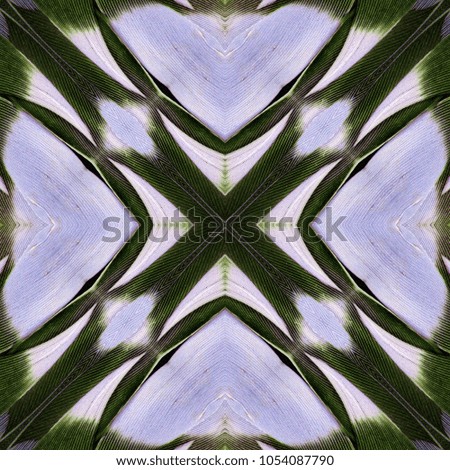 Abstract seamless symmetric pattern of green and white feathers of wild duck as a background. Close-up colorful feathers, bird feathers background texture. The image with mirror effect