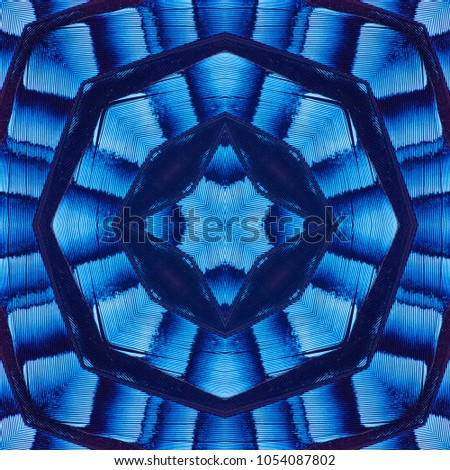 Abstract seamless symmetric pattern of feathers of Eurasian jay with blue stripes close-up as background. Ornamental surreal tracery of bird feathers. The image with mirror effect.