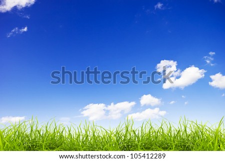 Green grass over a blue sky background