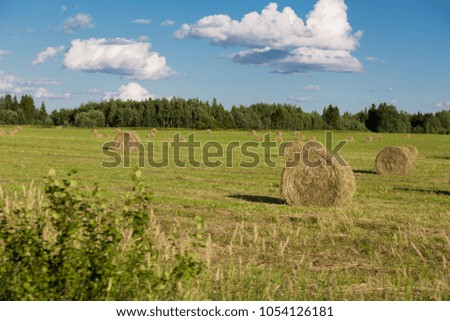 Twisted stack of hay on mowed field