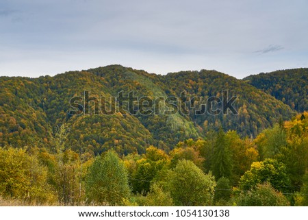 A beautiful mountain landscape. Colorful trees are covered with leaves of different colors. A blue violet day sky above the autumn forest. The yellow and green tones of nature play in the sun.