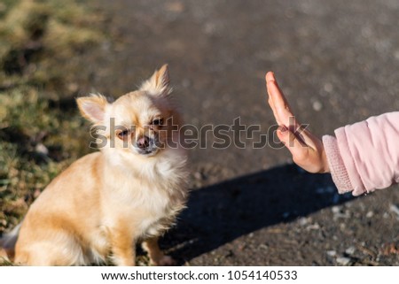 Young gril playing with her dog outside on a field. Dog is very happy. Friendship between human and dog.