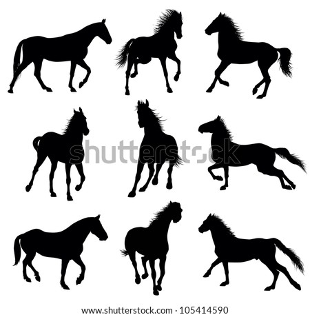  Running horses detailed silhouettes. set. Vector eps 8