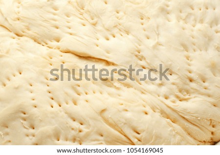 texture of the dough. in a bowl for pizza or bread. cooking courses. selective focus
