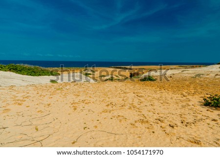 desert dunes on the Atlantic ocean of the Caribbean sea in the Aruba island of the Netherlands Antilles