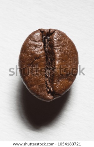 Extreme macro shot of coffee beans