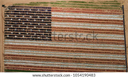 A patriotic American flag made from planted rows of thousands of plants with flowers planted in the dirt ground from an aerial birds eye view