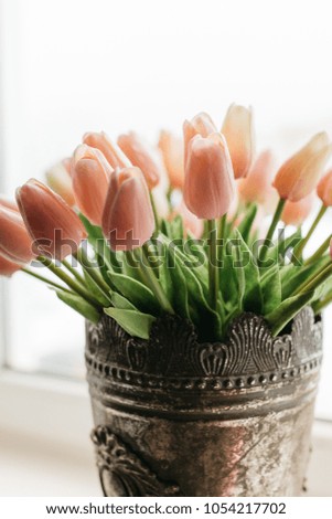 Tulips on wooden background. Bunch of flowers. Bouquet for love. Holiday card with copy space.Pink tulip on the white background. Easter and spring greeting card