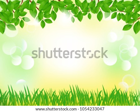 Spring or summer nature background, green grass, tree leaves, vector