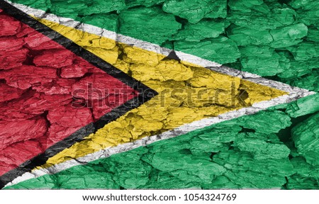 Texture of the Flag of Guyana on a decorative tree bark.