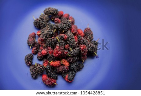group of mulberries is placed on blue dish. Mulberry this a superfruit for health. Mulberry is a lot of vitamin and sweet nature.