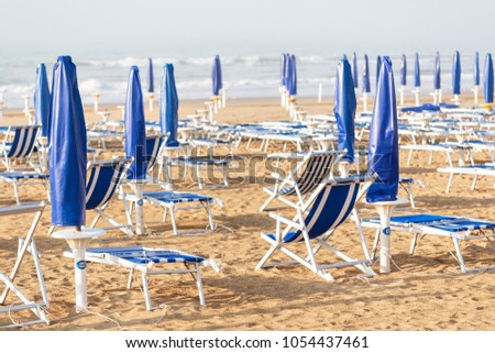 on the sandy beach cleaning, after winter, preparation for the holiday season in Italy. Wooden trunks in on the seashore after a sea storm. dense sea breeze at dawn