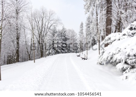 Photo of snowy landscape covered with snow and road in winter