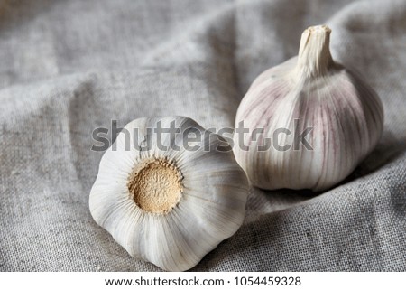 Close up view of two garlic bulbs arranged on a cotton tablecloth, shallow depth of field, selective focus, macro