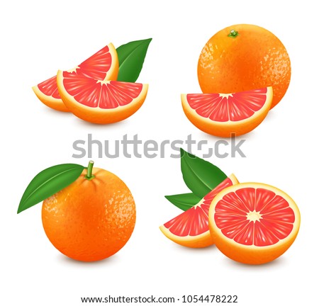 Set of isolated grapefruits. Realistic citrus image. 3d vector Royalty-Free Stock Photo #1054478222