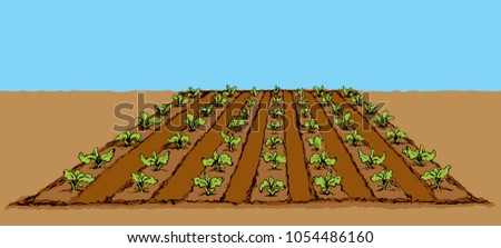 Eco green early lush raw soy bush flora culture sow on blue sky background. Bright color hand drawn yield scene sketch in retro doodle cartoon style with space for text Royalty-Free Stock Photo #1054486160