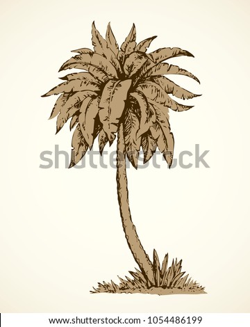 Summertime palmtree scenic view and space for text on white sky backdrop. Freehand ink hand drawn picture sketchy in art vintage scribble etching graphic style pen on paper