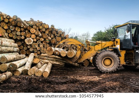 Forklift truck grabs wood in a wood processing plant Royalty-Free Stock Photo #1054577945