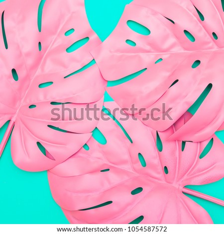 pattern of pink tropical palm leaves of monstera in vibrant bold color on turquoise background . Concept art. Minimal surrealism